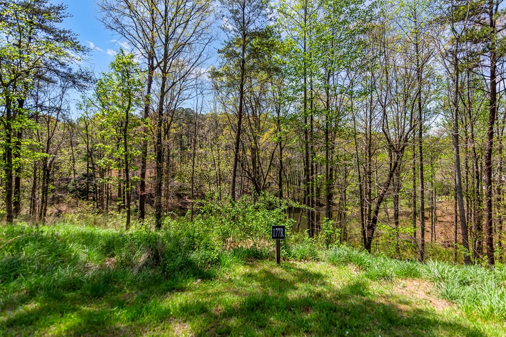 177R Overlook Way