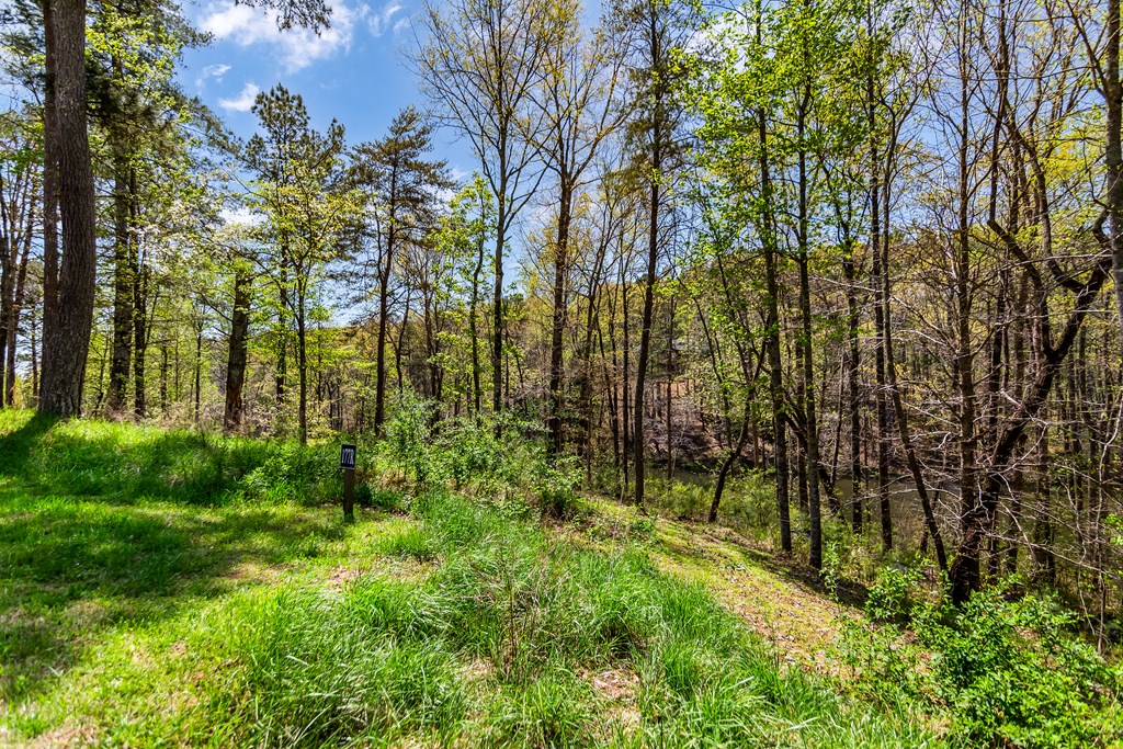 177R Overlook Way