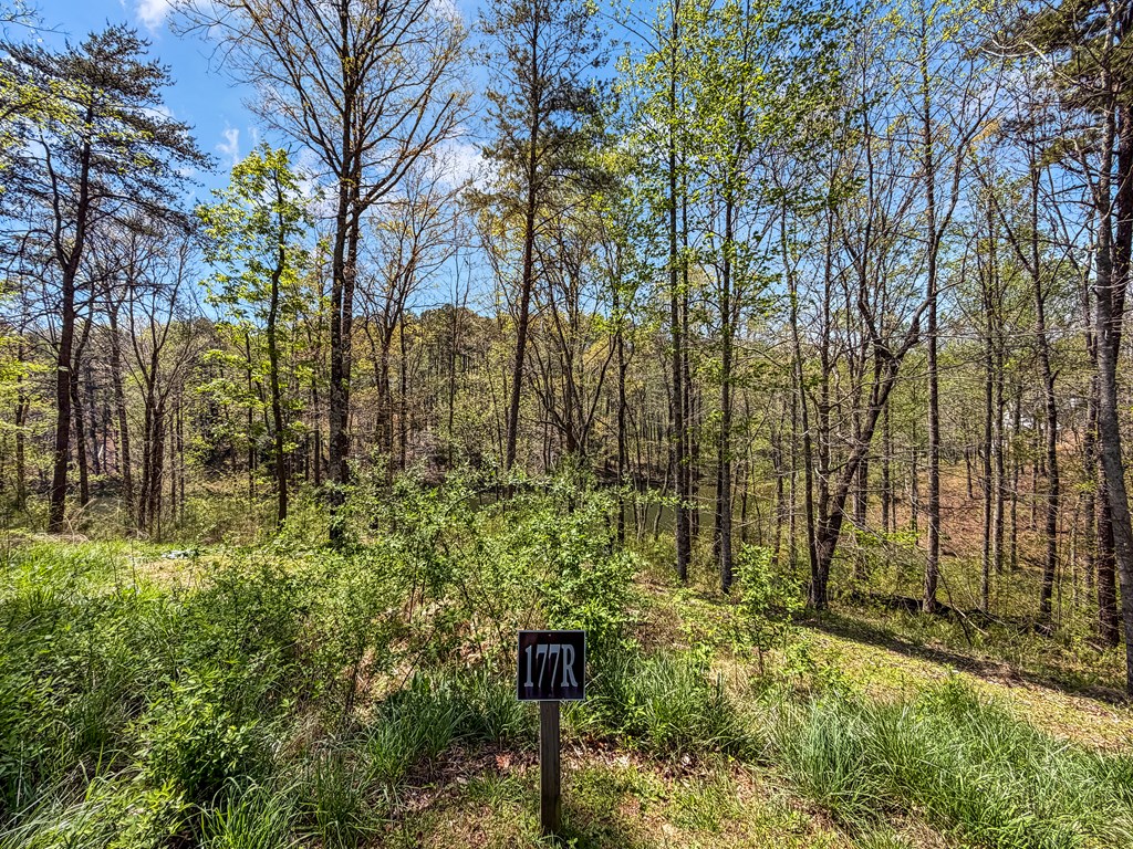 177R Overlook Way