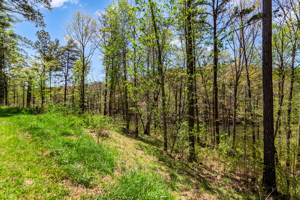 177R Overlook Way