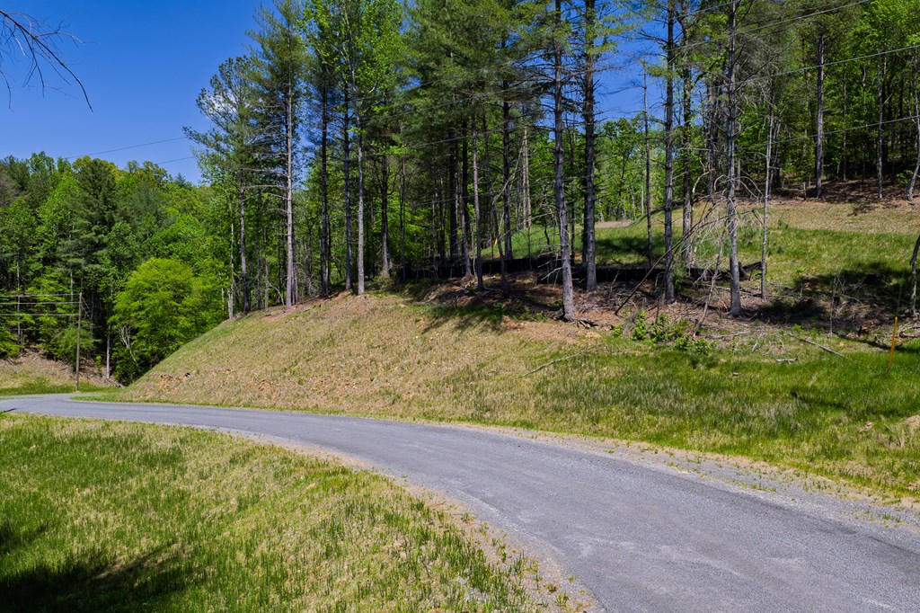 Lot 343 Shallow Branch Drive