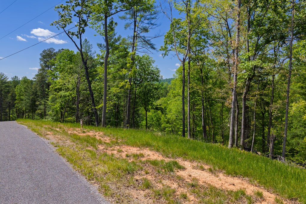 Lot 343 Shallow Branch Drive
