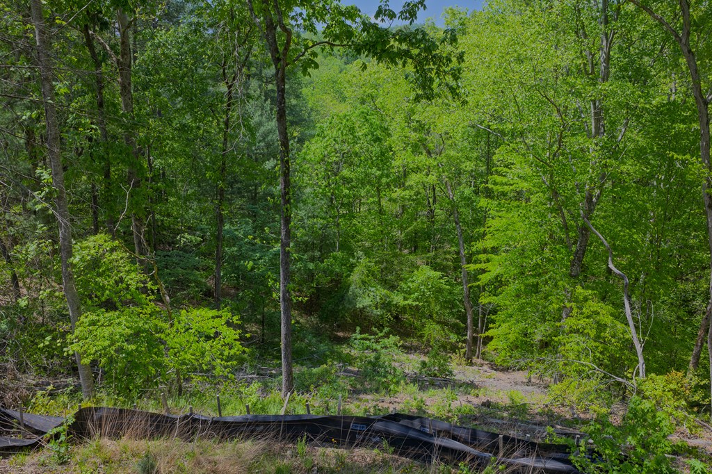 Lot 343 Shallow Branch Drive