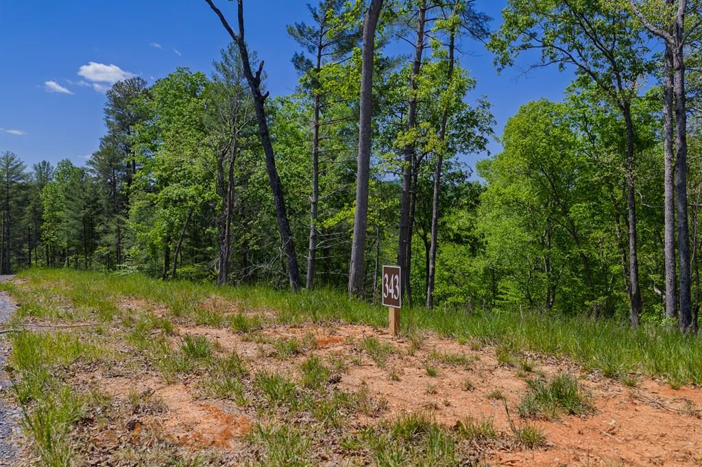 Lot 343 Shallow Branch Drive