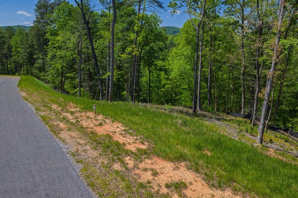 Lot 343 Shallow Branch Drive