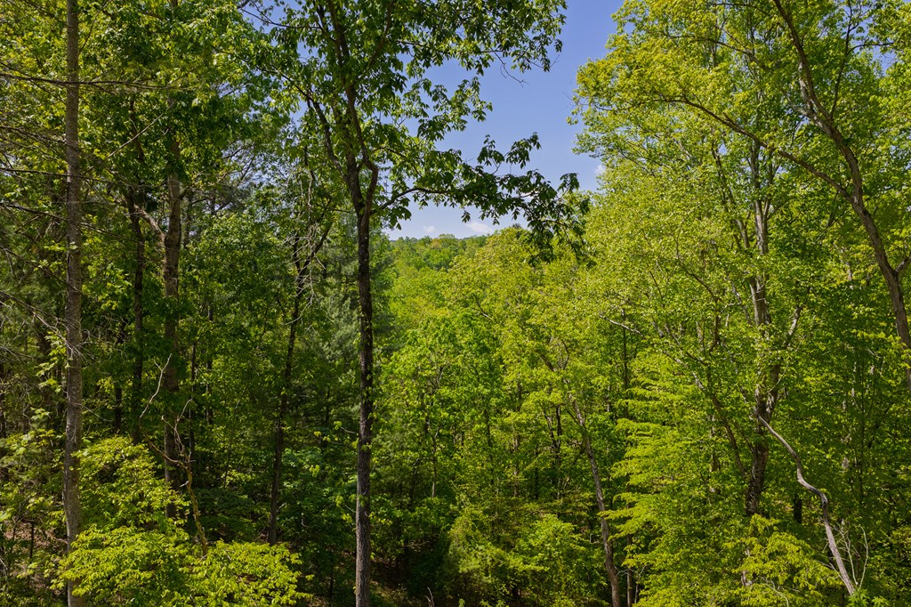 Lot 343 Shallow Branch Drive