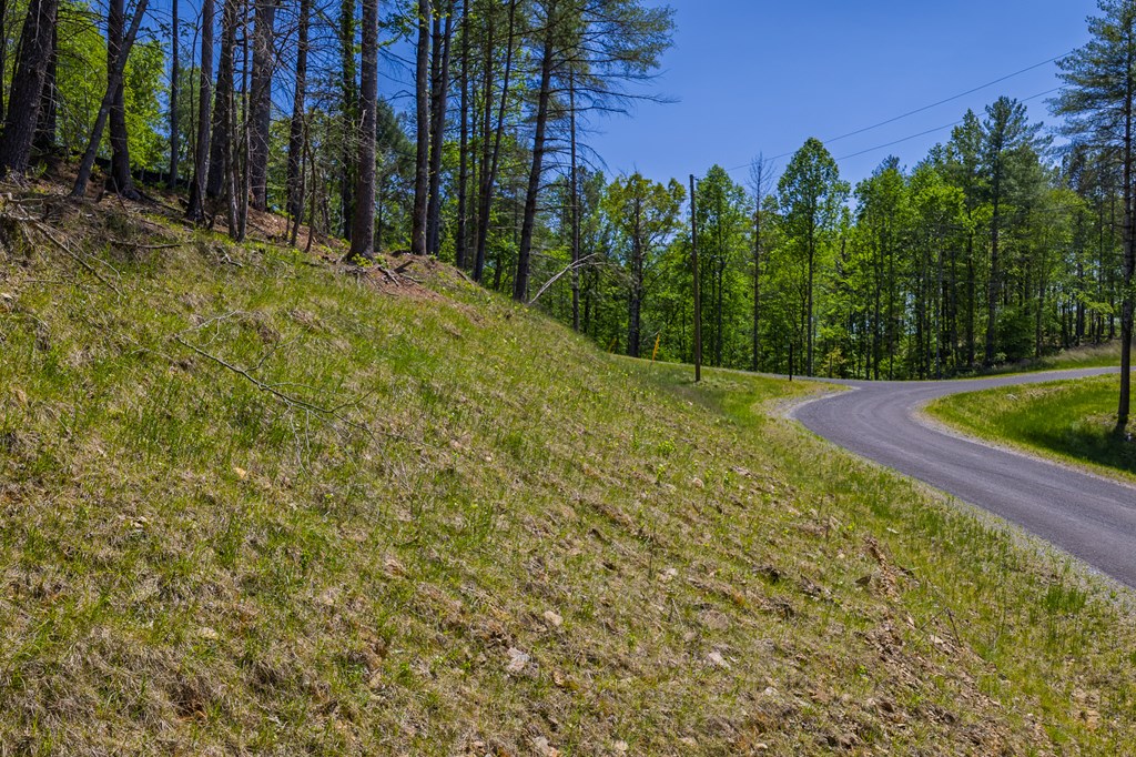 Lot 343 Shallow Branch Drive