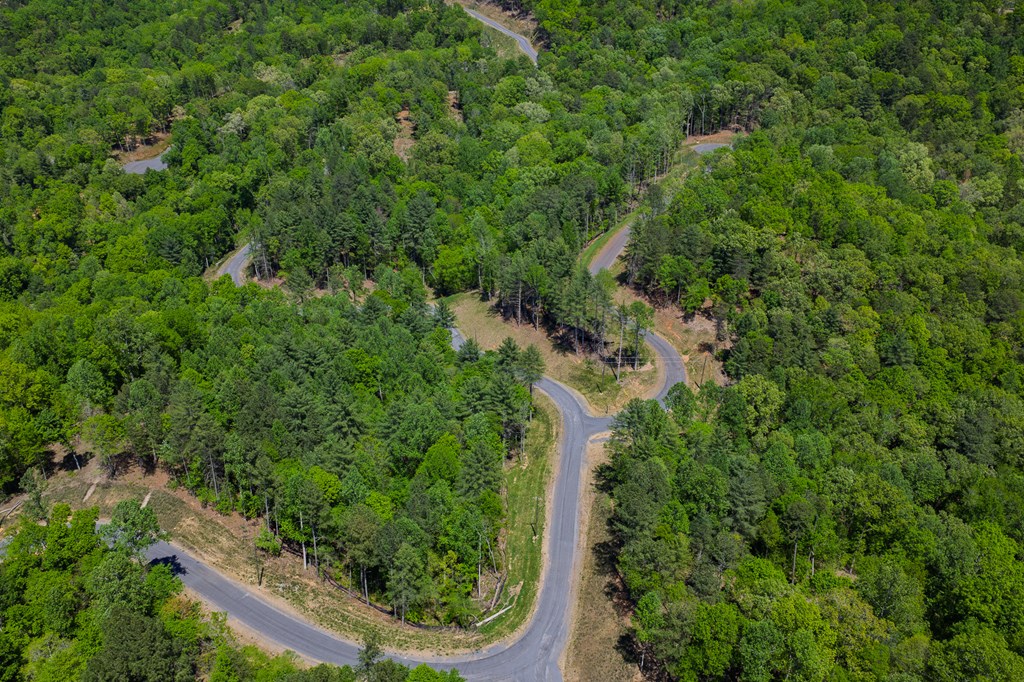 Lot 343 Shallow Branch Drive