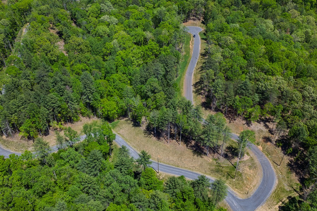 Lot 343 Shallow Branch Drive