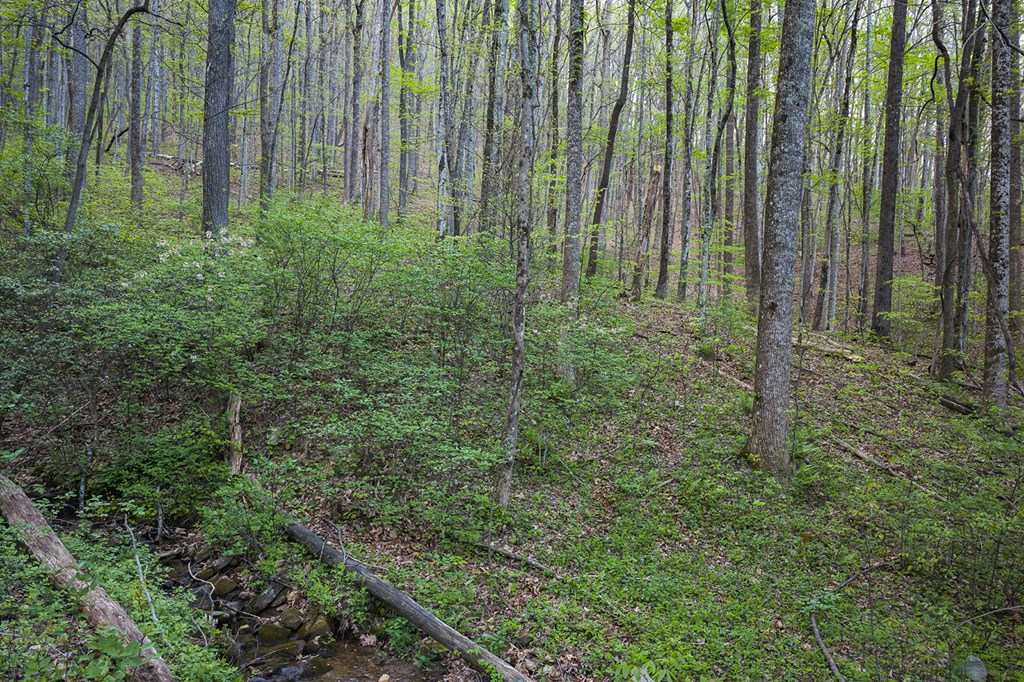 0 Hagin Lane
