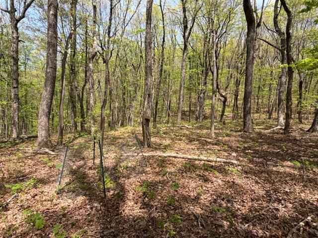 Lot 26 Falcons Nest