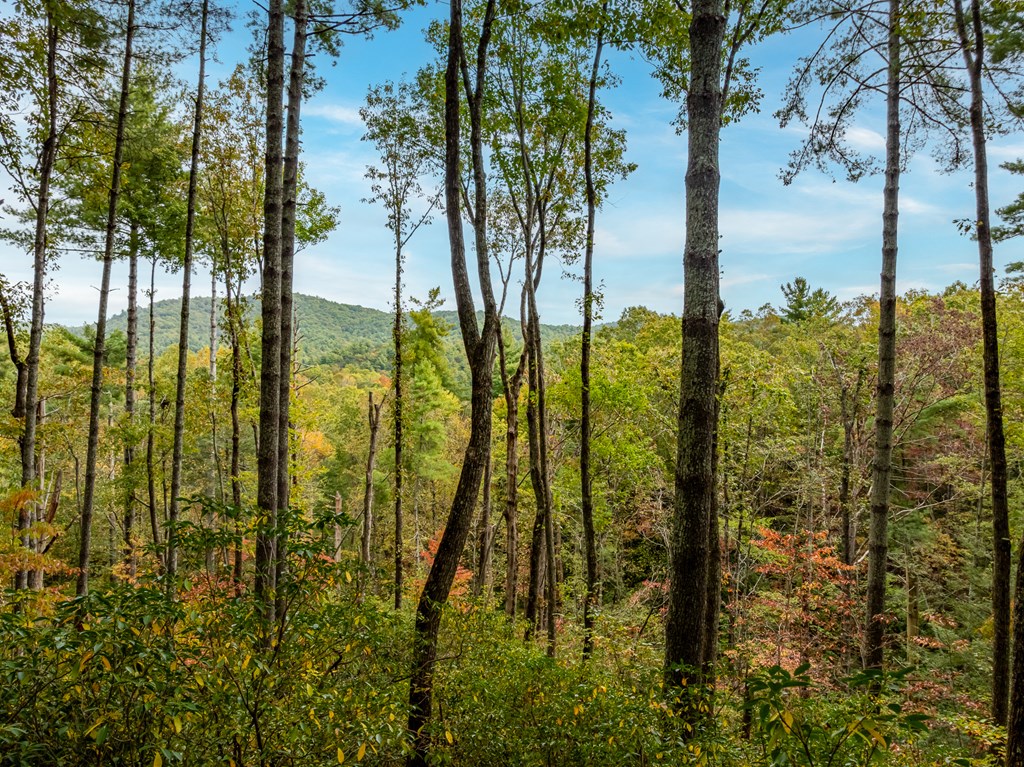 Lot 1 Chief Whitetails Road