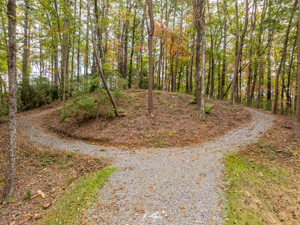 Lot 1 Chief Whitetails Road