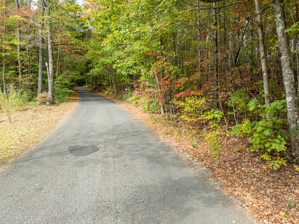 Lot 1 Chief Whitetails Road
