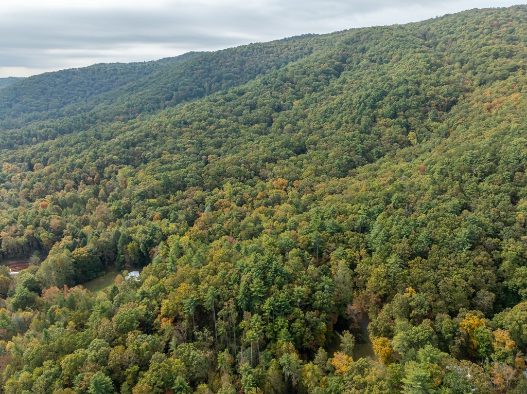 Lot 1 Chief Whitetails Road