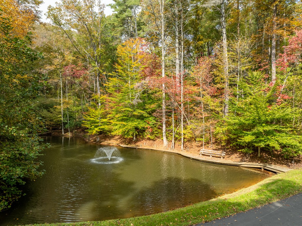 Lot 1 Chief Whitetails Road