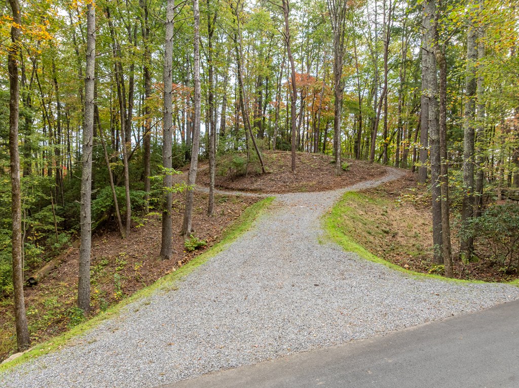 Lot 1 Chief Whitetails Road