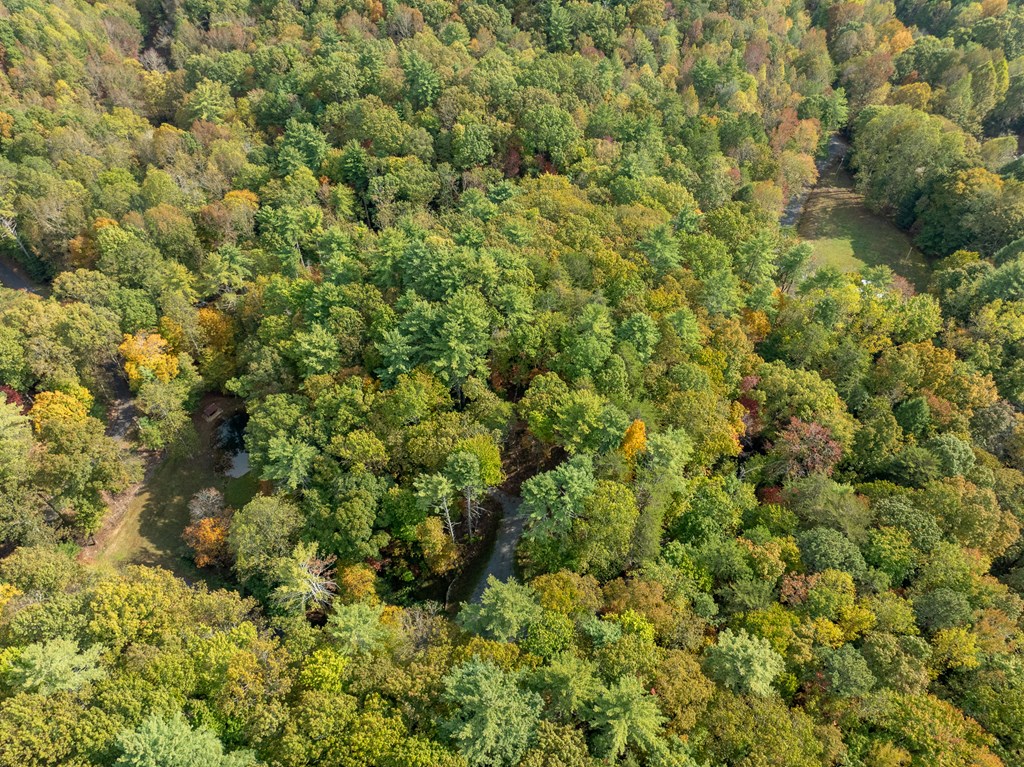 Lot 1 Chief Whitetails Road