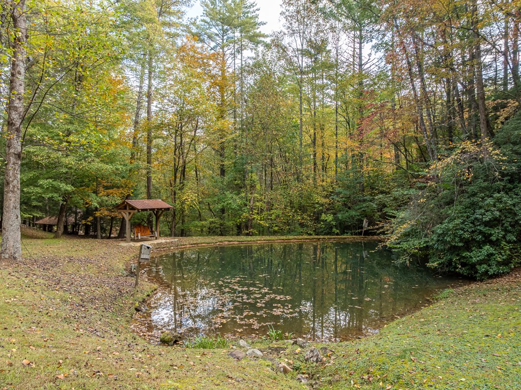 Lot 1 Chief Whitetails Road