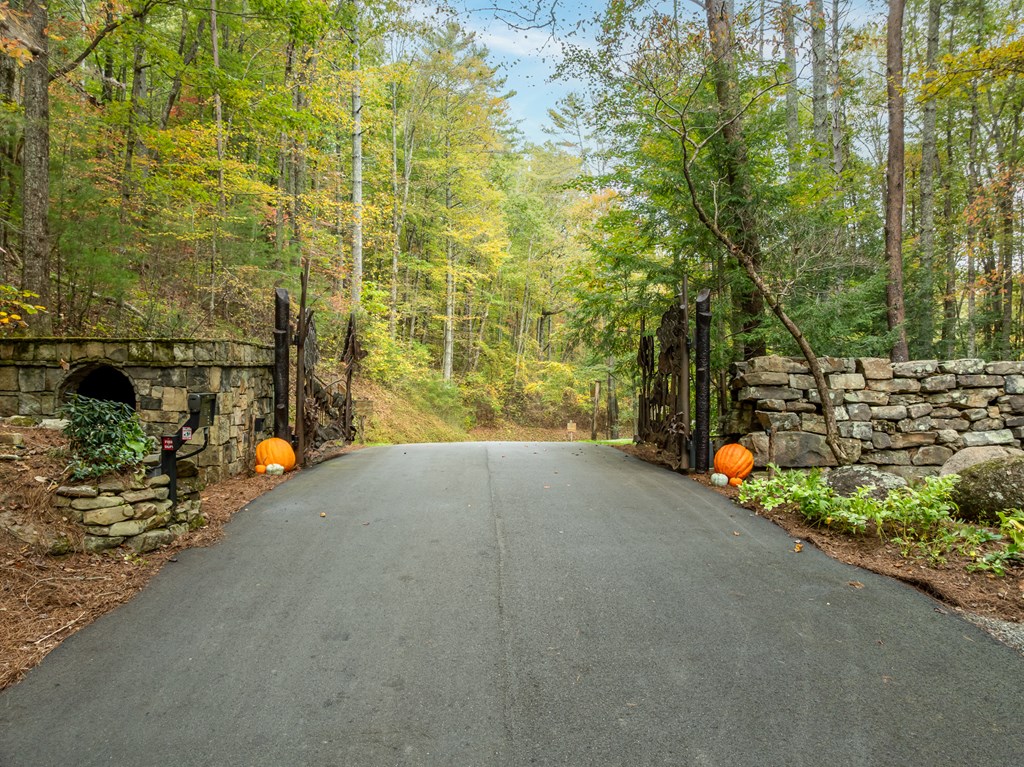 Lot 1 Chief Whitetails Road