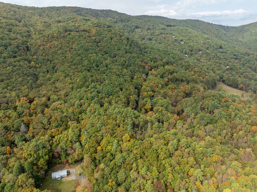Lot 1 Chief Whitetails Road