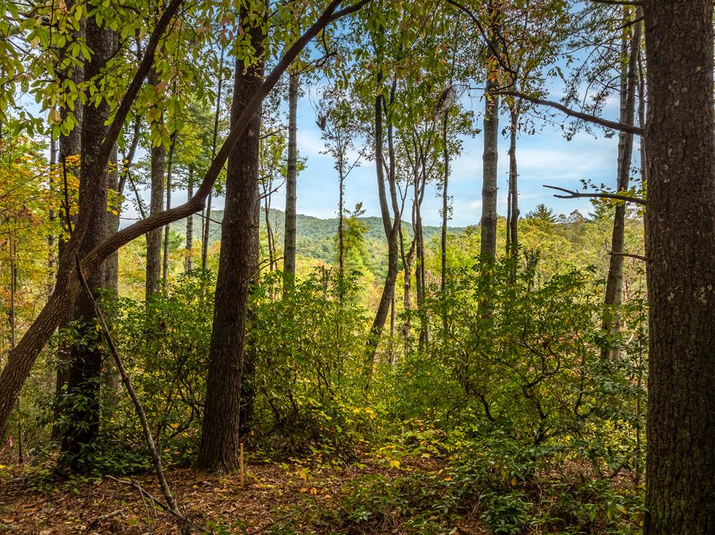 Lot 1 Chief Whitetails Road