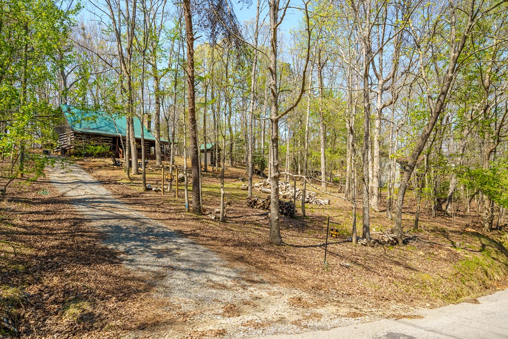 33 Foxhound Drive