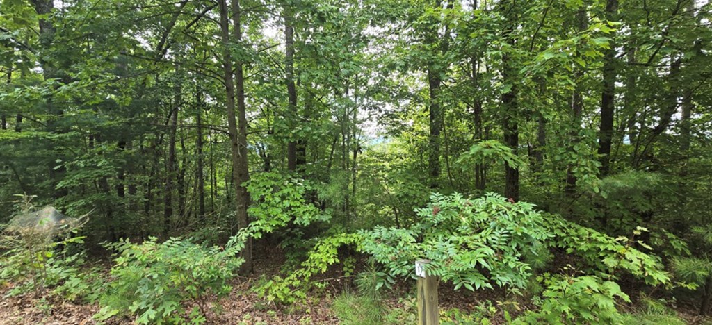 Lot 17 Abbott Mill Road