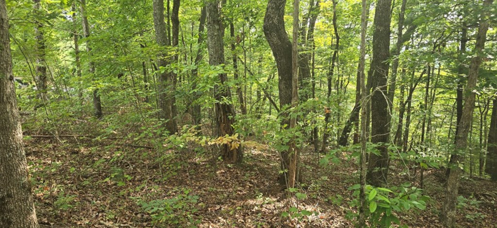 Lot 17 Abbott Mill Road