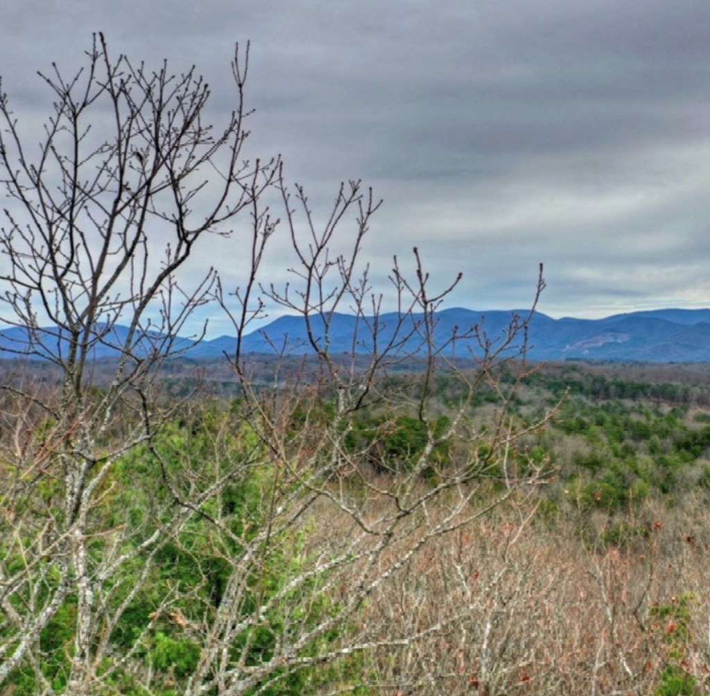 Lot 17 Abbott Mill Road