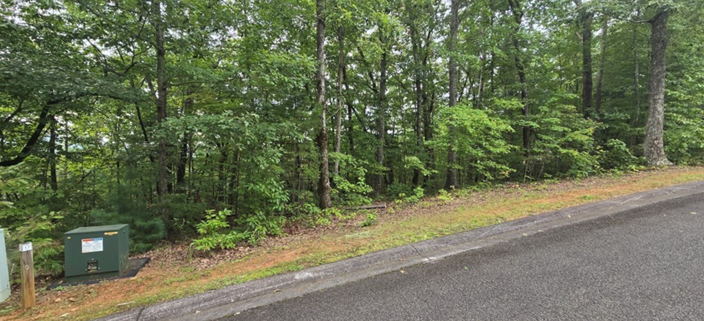 Lot 17 Abbott Mill Road