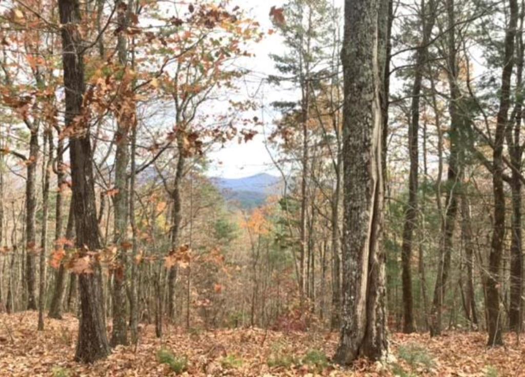 Lot 17 Abbott Mill Road