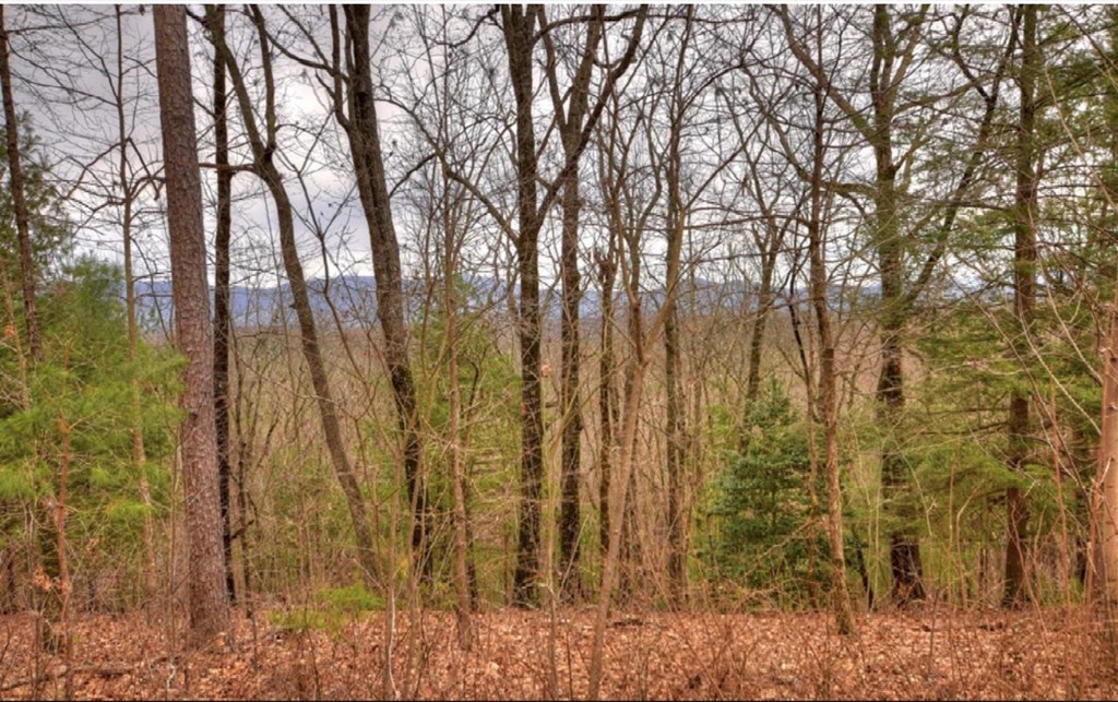 Lot 17 Abbott Mill Road