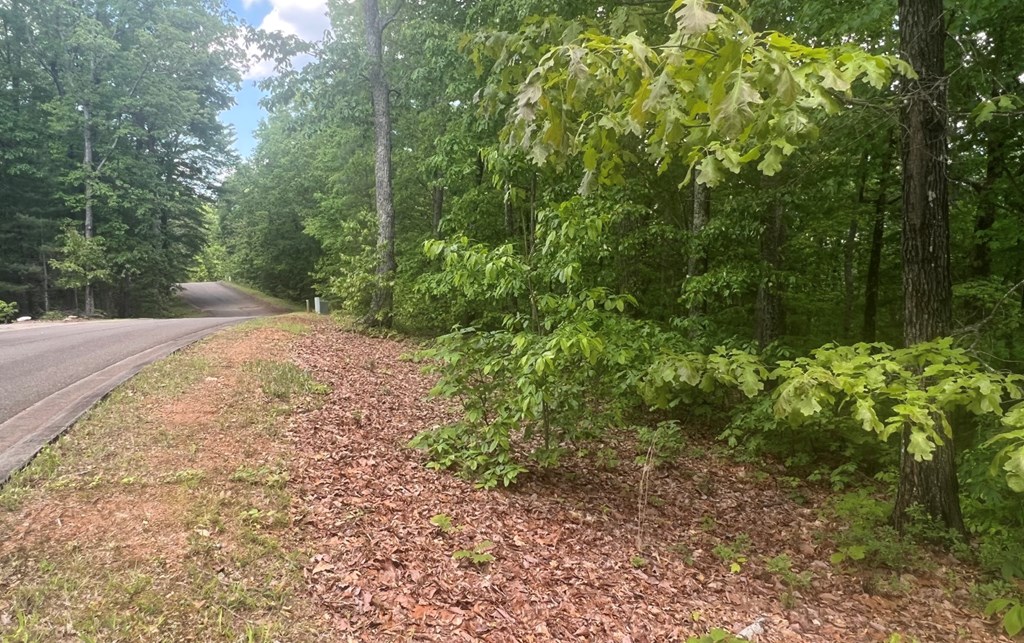 Lot 17 Abbott Mill Road