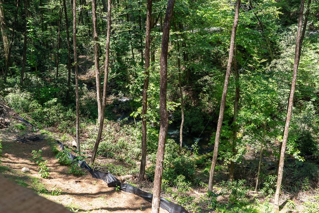 122 Laurel Creek Drive