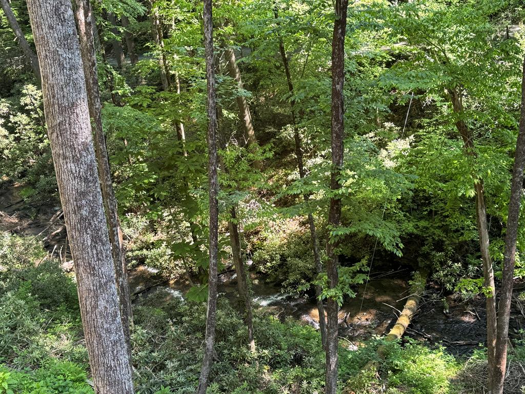 122 Laurel Creek Drive