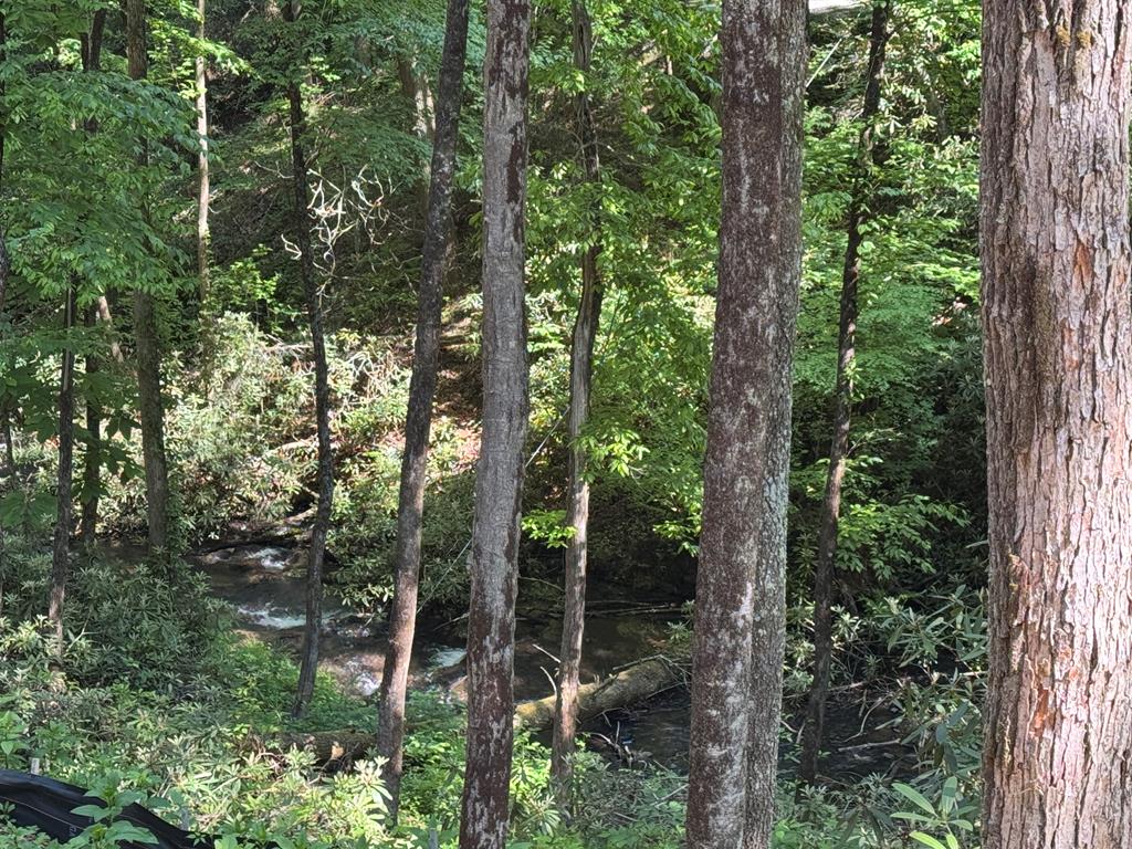 122 Laurel Creek Drive