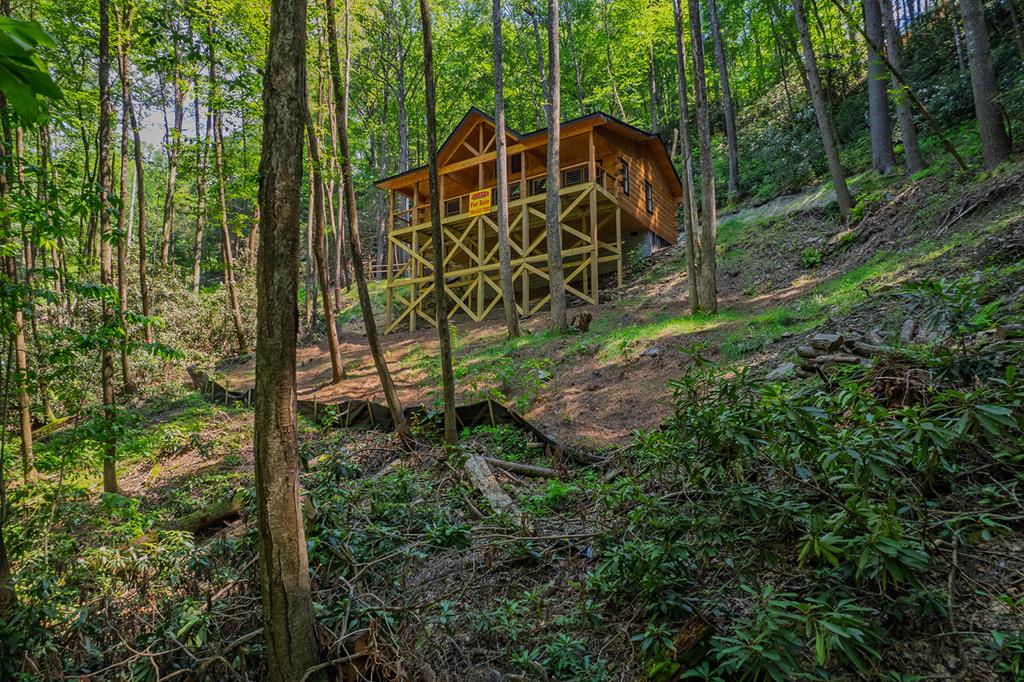 122 Laurel Creek Drive