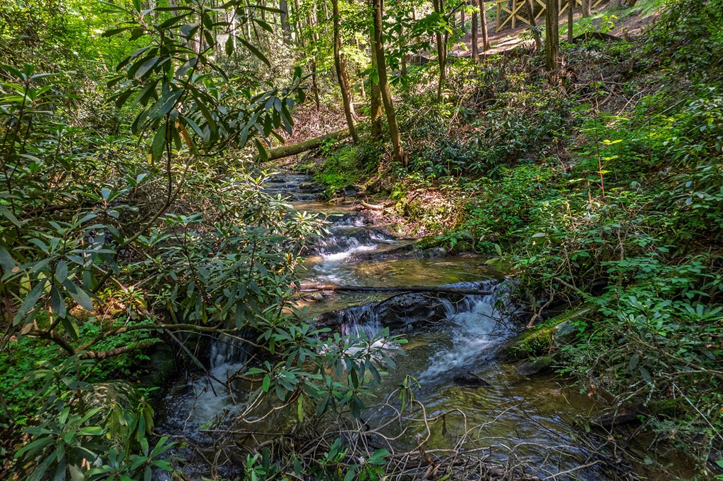 122 Laurel Creek Drive