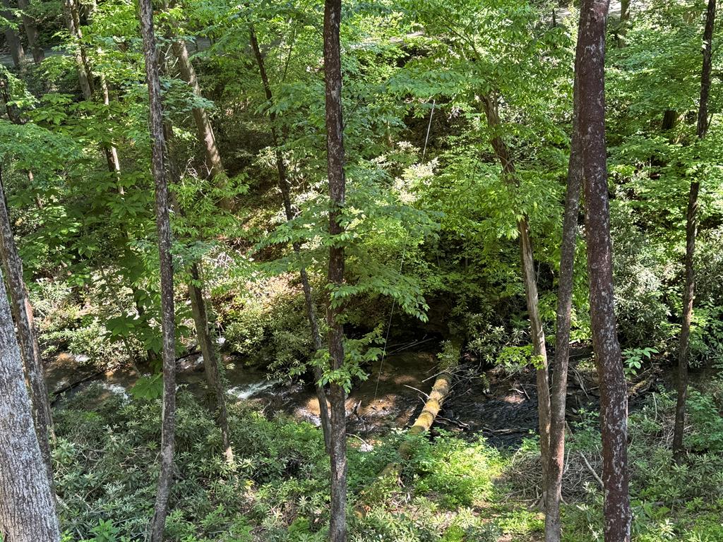 122 Laurel Creek Drive