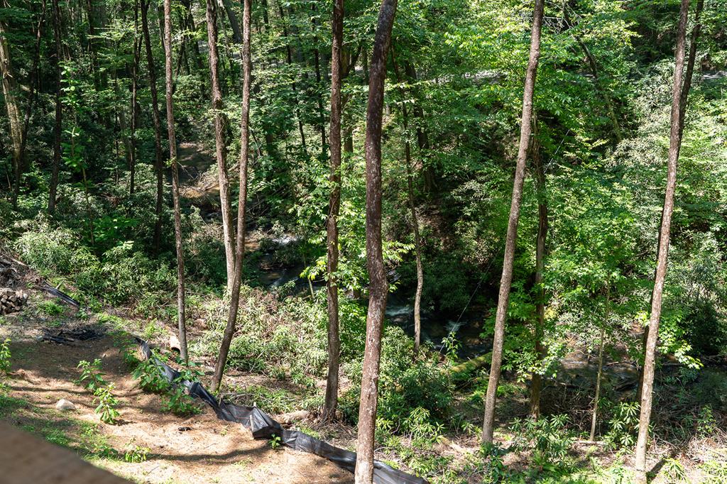 122 Laurel Creek Drive
