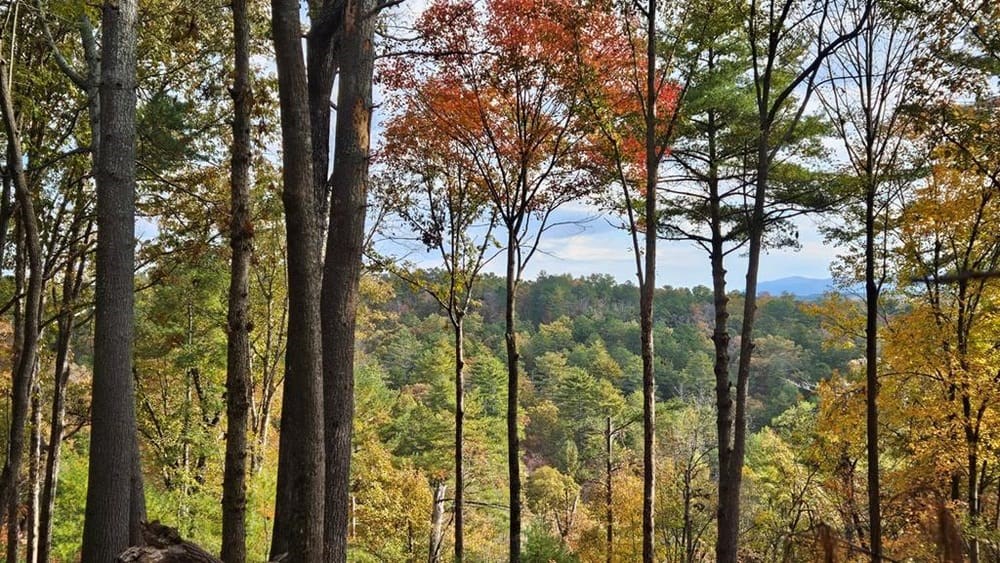 Lot 157 Roaring Forks Lane