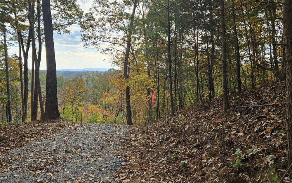 Lot 157 Roaring Forks Lane