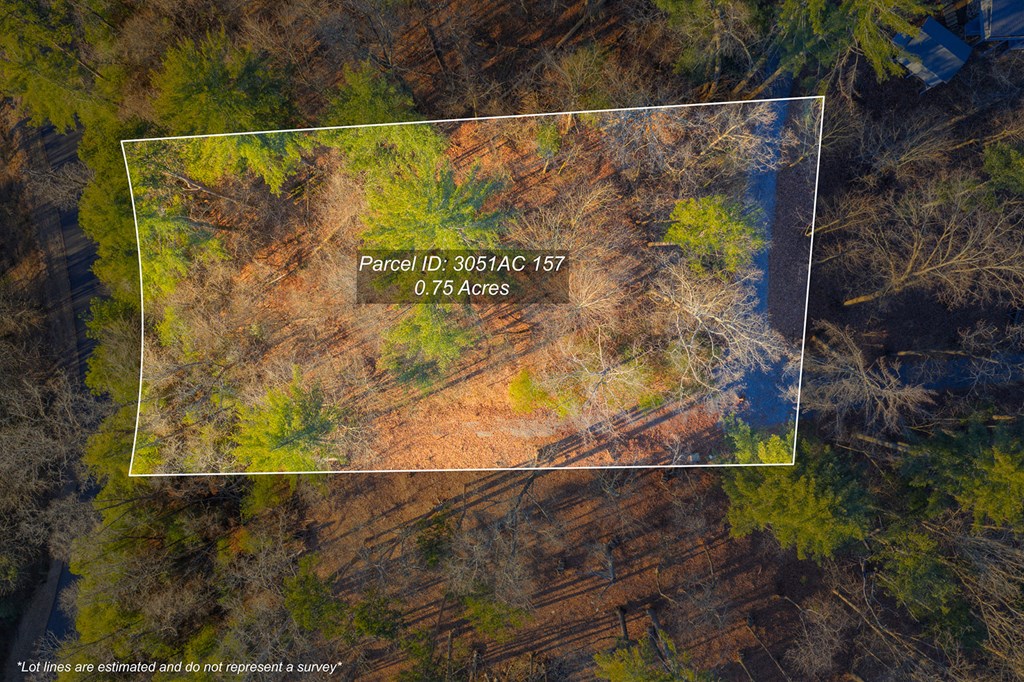 Lot 157 Roaring Forks Lane