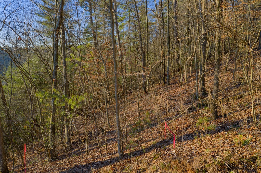Lot 157 Roaring Forks Lane