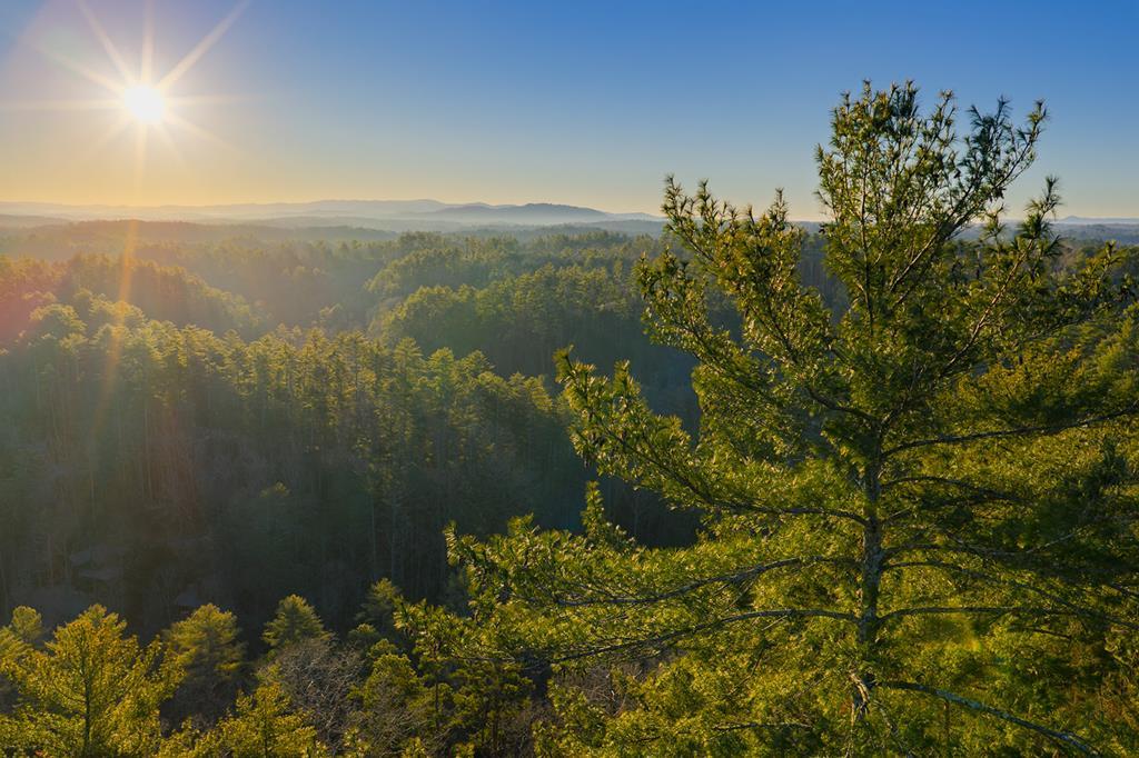 Lot 157 Roaring Forks Lane