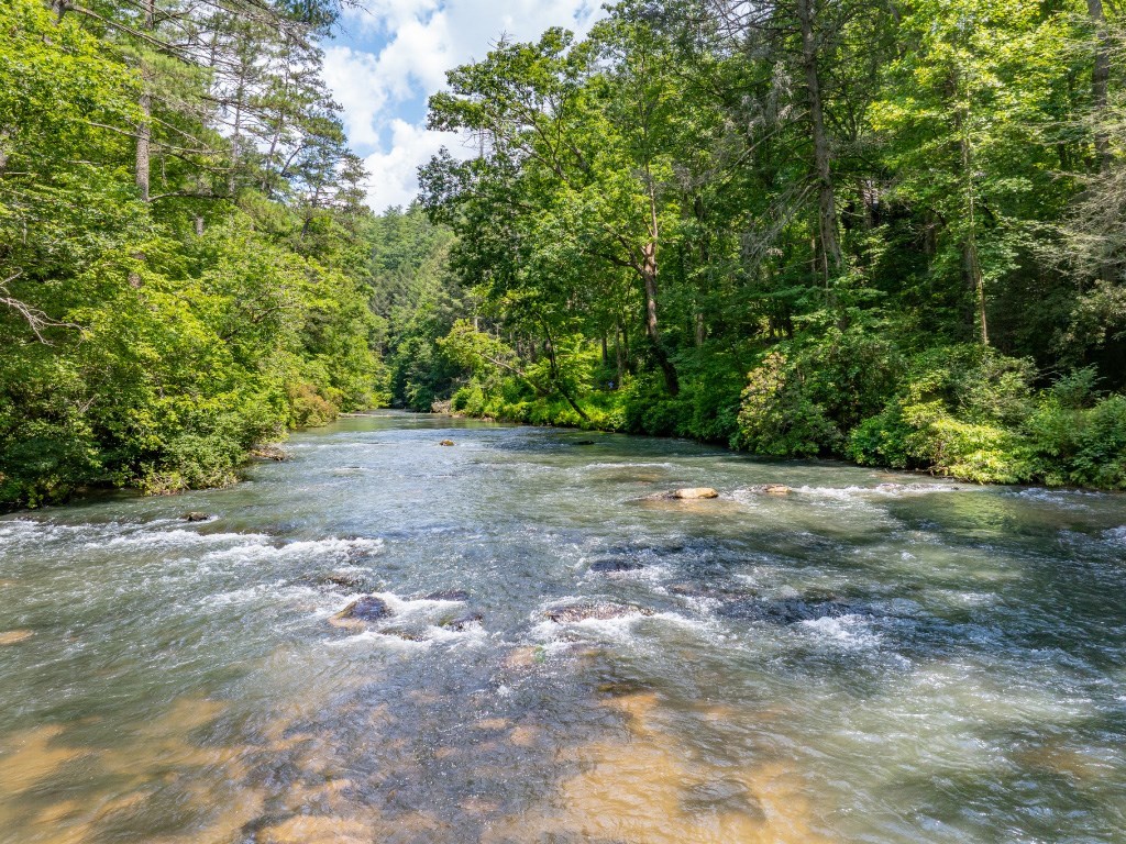 Lot 157 Roaring Forks Lane