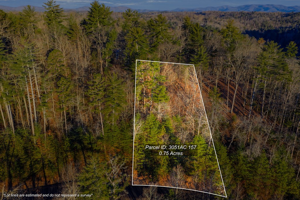 Lot 157 Roaring Forks Lane