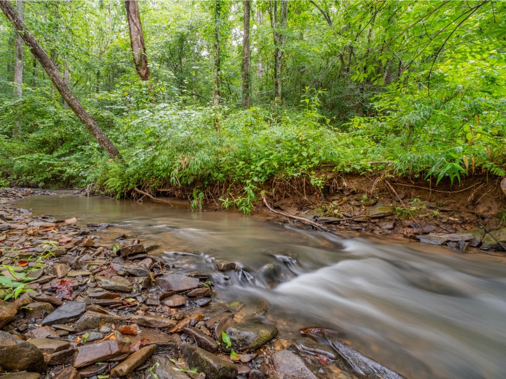 Lot 157 Roaring Forks Lane