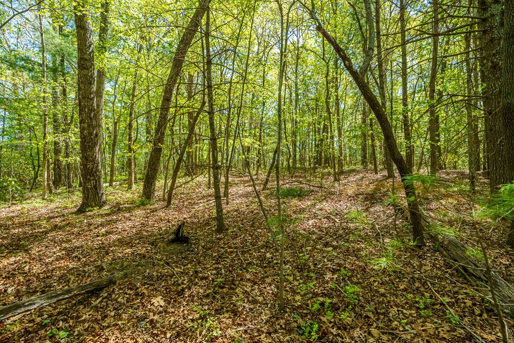 Lot 3 Spring Camp Road